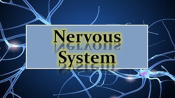 Nerve Cell & Nervous System (in Detail)..(#ppt)