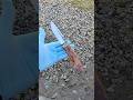 Hunting knife, laminate M398 + Arizona ironwood