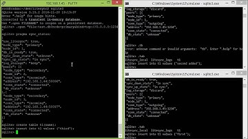 LiteSync - SQLite Synchronization - Row Ids