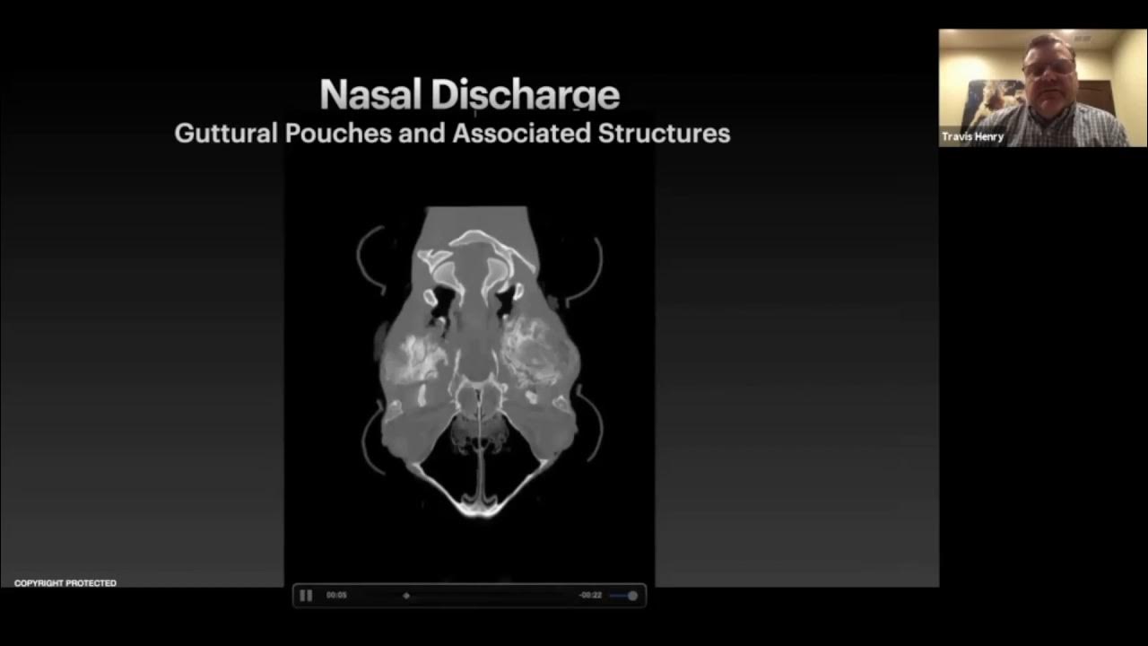 TMJ Compression of the Guttural Pouch Case Study YouTube