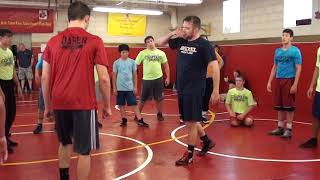 Sheaffer Underhook Ankle Pick