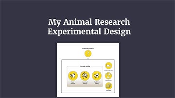 My Animal Research Experimental Design Course (English Subtitles)