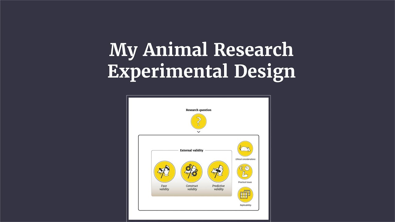 My Animal Research Experimental Design Course (English Subtitles) - YouTube