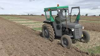 Vintage Thursday. Sarum tractor club ploughing match, September 2022.