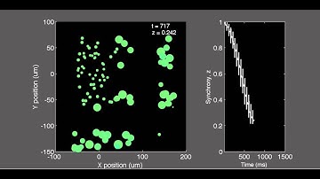 An ephaptically coupled phase oscillator model of neural synchrony