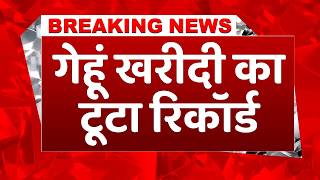 #breakingnews: MP-Punjab-Haryana में गेहूं खरीद का बड़ा धमाका, सरकारी खरीद ने तोड़े रिकॉर्ड #wheat