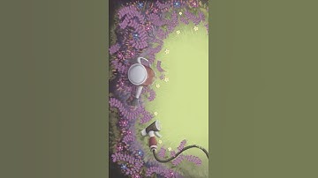 Catnip Gardens Timelapse😼🌷