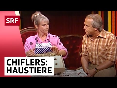 Adam and Eve Chifler: Pets | Dream Couple | Comedy | SRF