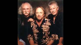 Crosby Stills Nash_Almost Cut My Hair live (high_quality) classic_coutry_rock