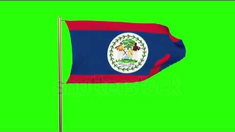 Belize flag waving in the wind. Green screen, alpha matte. Loopable animation Stock video by