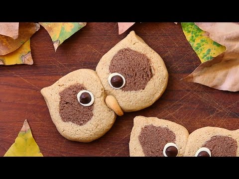 Cream and cocoa shortbread owl cookie recipe