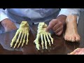 Midtarsal Joint Bone Spur Removal