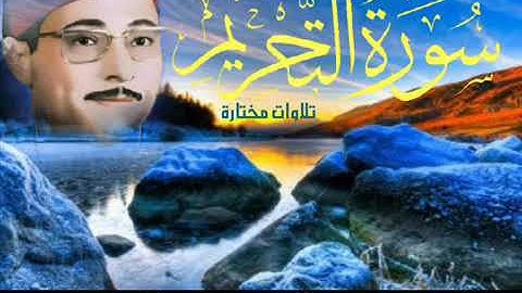 الشيخ شكري البرعي مقطع من سوره التحريم مؤثر جدا