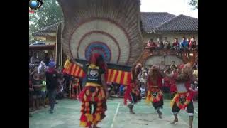 Singa Pongdhut Karya Taruna Bah Rewok Group || Atraksi Reog Ponorogo