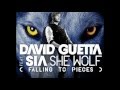 She wolf (falling to pieces)- David Guetta feat. Sia  LYRICS