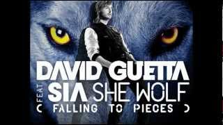 She wolf (falling to pieces)- David Guetta feat. Sia  LYRICS