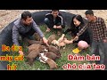 Tường Vy Vlog Bán Hết Đàn Bull Con Của Săn Bắt Ẩm Thực Vùng Cao Và Cái Kết Bị Đuổi Khỏi Nhà