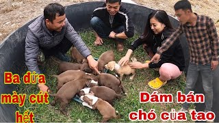 Tường Vy Vlog Bán Hết Đàn Bull Con Của Săn Bắt Ẩm Thực Vùng Cao Và Cái Kết Bị Đuổi Khỏi Nhà