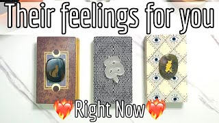 ❤️‍🔥How do they feel about you?❤️‍🔥Their current thoughts/feelings🔮pick a card love tarot reading