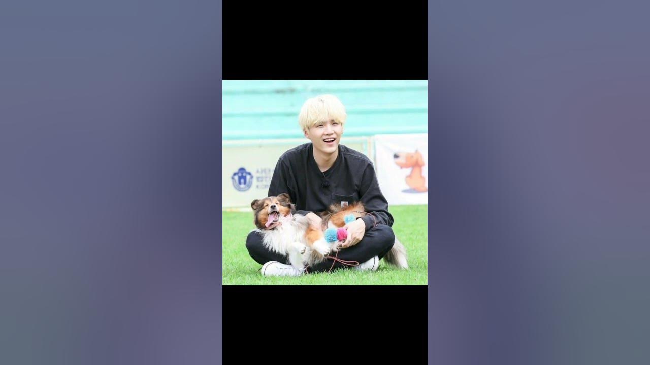 suga-with-his-pet-btsarmy-bts-btsforever-youtube