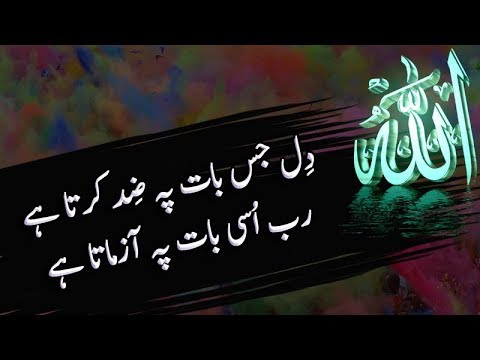 Best Urdu Quotes Collection Part 12 | Quotes About Allah ...