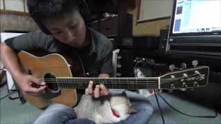 ランディローズさんのdeeを弾いてみました Youtube ランディローズさんのdeeを弾いてみました Youtube