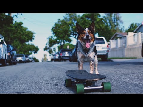 CHON - Waterslide (Official Music Video)