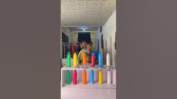 The Most Entertaining and Funny Six (6) Bottle Color Matching Challenge