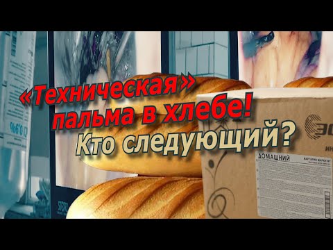"Техническая" пальма в хлебе. Кто следующий? / @amamontov