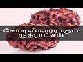 கோடிஸ்வரராக்கும் ருத்ராட்சம் -  Siththarkal Manthiram- Sithar- sithargal...