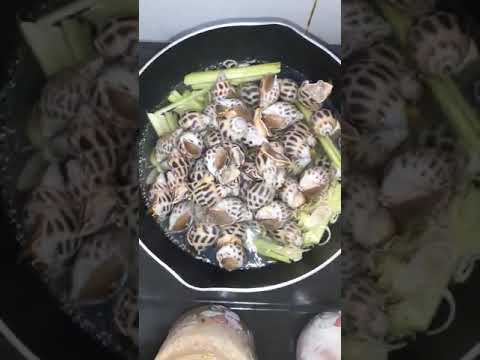 Ốc hương hấp
