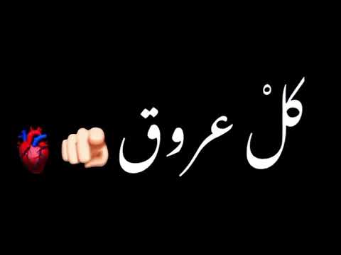 دوالي صوت محبوبي دوالي بدون موسيقى تصميم