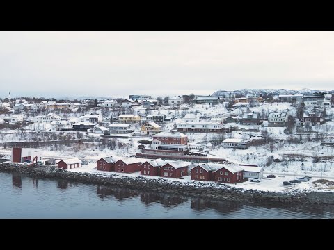 Video: Ungdomssenter i Elektrostal: tjenester, veibeskrivelse, adresse og åpningstider