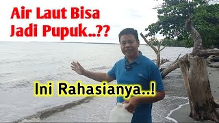 Cara Membuat POC Dari Air Laut || Emang Bisa..??