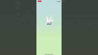 X3 of the brand new galarian corsola eggs but did we get a shiny✨🤔#subscribe #pokemongo #egghatch