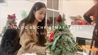 VLOG65 CHRISTMAS TREE🎄(nabi’s special episode)