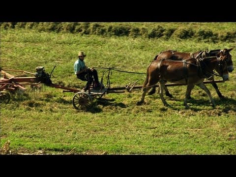 Video: Ohio'nun Amish Ülkesi İçin Eksiksiz Bir Kılavuz