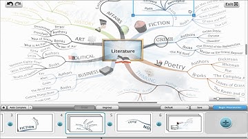 iMindMap 6 - Presentation View