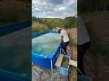 Recuperei essa piscina verde antes da tempestade chegar #short A#shorts