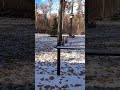 Sneaf Storm! Anybody have a Shrake? #funnyvideo #snowfall #leaves #leafs