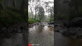 அடர்ந்த காட்டுக்குள் | #deepforest #jeeptrekking #forestlovers #foresttrekking #youtubeshorts