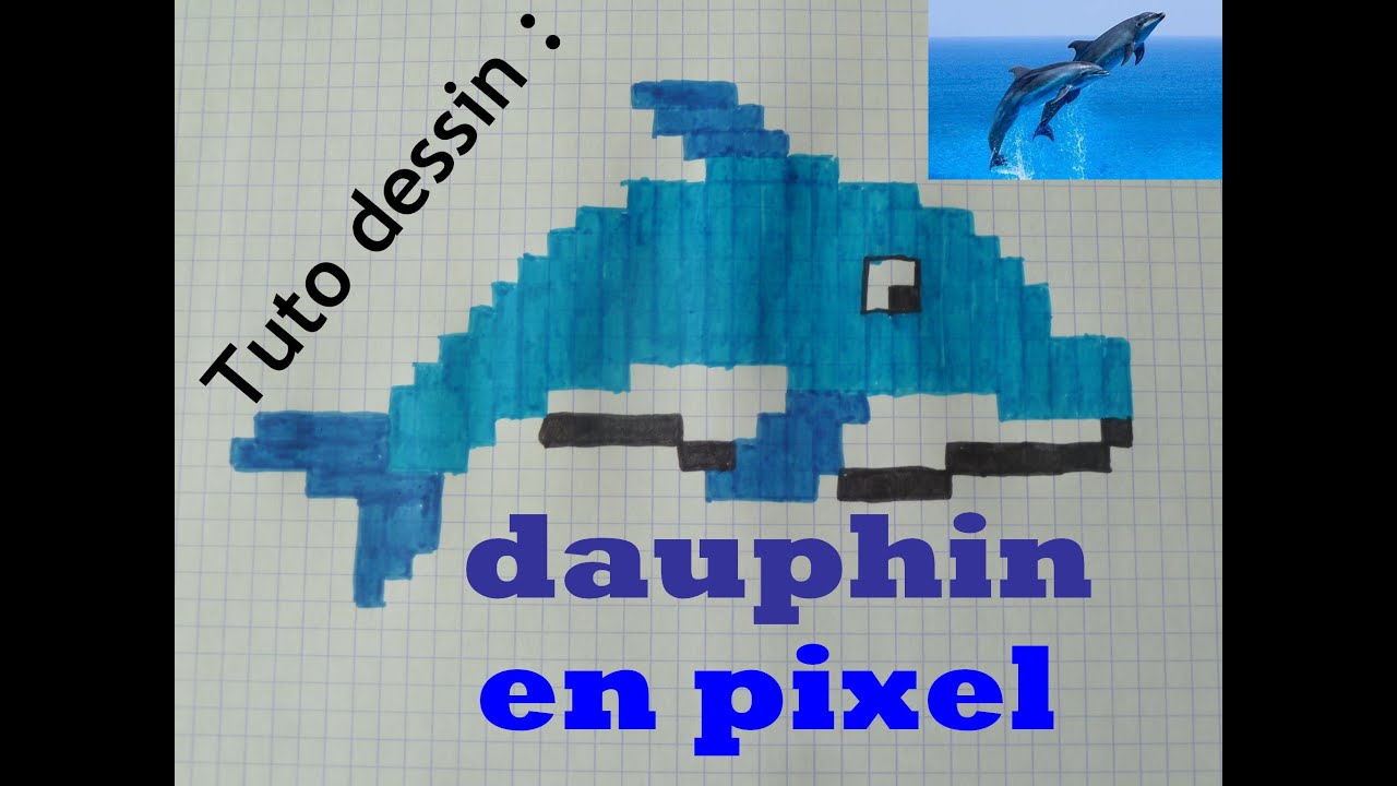 TUTO DESSIN: COMMENT DESSINER UN DAUPHIN EN PIXEL?? - YouTube