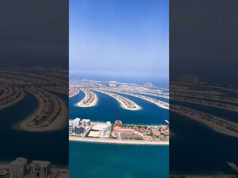Largest Man Made Island In The World #shorts #dubai #youtubeshorts