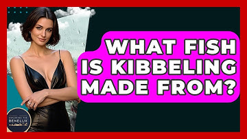 What Fish Is Kibbeling Made From? - Exploring The Benelux