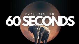 The Evolution of Earth in One Minute