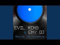 Melody of Paradise (Emy DJ Mix)