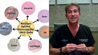 Techniques and Technologies in Liposuction | Dr. David P. Rapaport NYC