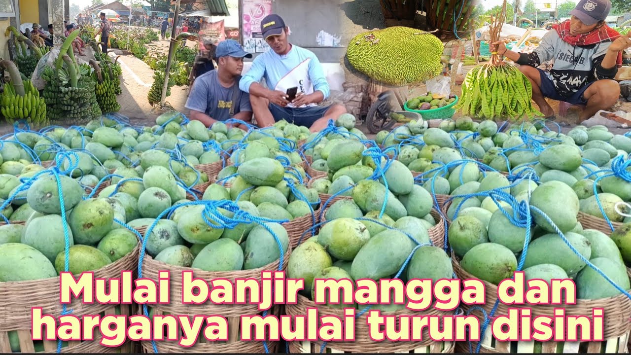 HARI JUM'AT BANYAK MANGGA PISANG PETE HARGA PADA TURUN DI PASAR BUAH PASREPAN KABUPATEN PASURUAN