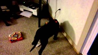 Vid 20120425 201945
