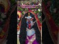 माँ श्मशान वासिनी जी १३ वा वार्षिक महोत्सव 🩷🌸